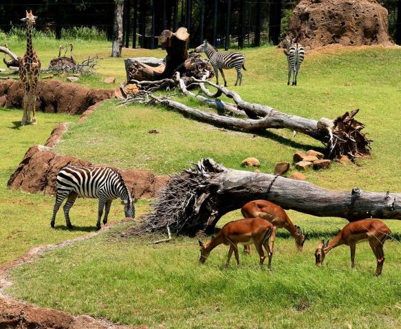 12244451_1644224602522160_9199085246728738097_o