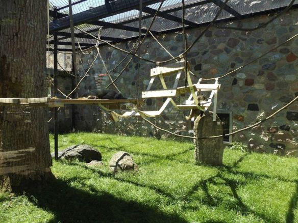 12646710_969534259808121_5902762957407565696_o