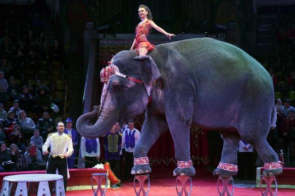 28468074_1651160181645522_7803305933983021312_n